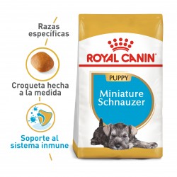 Royal Canin BHN Mini Schnauzer Puppy