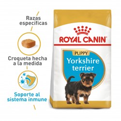 Royal Canin BHN Yorkshire Puppy