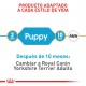 Royal Canin BHN Yorkshire Puppy