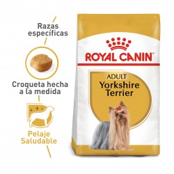 Royal Canin BHN Yorkshire Terrier