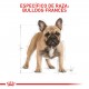 Royal Canin BHN Bulldog Francés Adult
