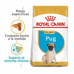 Royal Canin BHN PUG Puppy