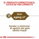 Royal Canin FHN Ageing +12
