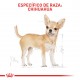 Royal Canin BHN Chihuahua Adult